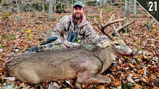 BIG WOODS BUCK with a BOW  Missouri Public Land [upl. by Ellivnarg198]