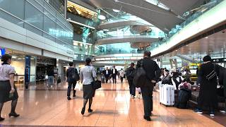 Haneda Airport Terminal 2  Tokyo Evening Walk 20241106Wed 4K HDR Binaural Sound [upl. by Erdried230]