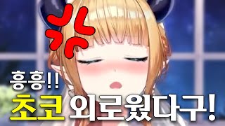 외로움이 폭발해서 징징거리는 초코센 [upl. by Sulohcin265]