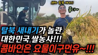 탈북 1년차와 10년차가 모두 놀란 대한민국의 쌀 농사법 몇십명에 몇달해야 할 농사를 하루에 다 하는 콤바인은 대체 뭘까 김영철콤프레샤 소통상회 탈북 [upl. by Kaitlynn]