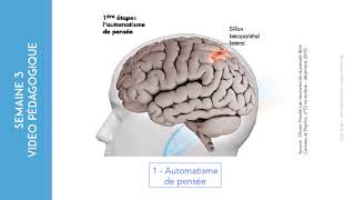 Le cortex préfrontal la clé antistress à connaître [upl. by Atimad]