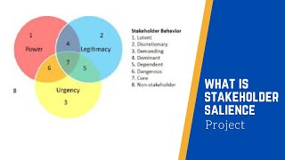 Stakeholder Salience [upl. by Eelrebmik340]