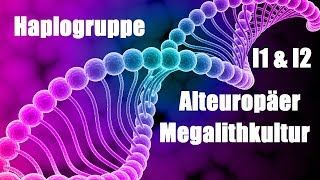 Haplogruppe II1I2  Alteuropäer amp Megalithkultur [upl. by Blankenship127]