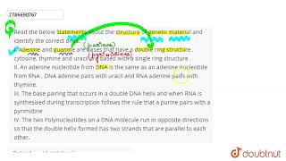 Read the below Statements about the structure of genetic material and identify the correct ones [upl. by Haven739]