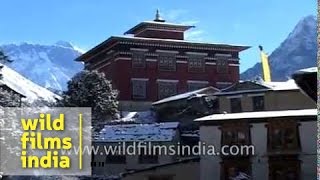 Tengboche Monastery or Thyangboche Monastery  Nepal [upl. by Ettenrahc]