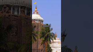 Odisha Jagannatha History shorts trending viralvideo [upl. by Oluas]