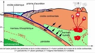 La subduction et ses conséquences [upl. by Hatcher564]