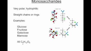 Organic chemistry screencast segment 3  Carbohydratesmp4 [upl. by Llesig]