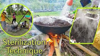 Organic Soil preparationSTERILIZATION technique for seed sowing  Lea VC Vlogs [upl. by Eellek]