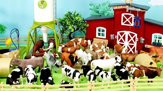 Horses Cows Bulls Farm Animal Figurines Collection [upl. by Atalayah126]