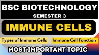 BSc Biotechnology  Semester 3  Immune Cells  Types of Immune Cells  Immune Cell Function [upl. by Yaakov]