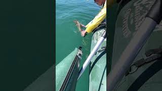 Lahontan Cutty release pyramidlake fishing trout [upl. by Berlyn]