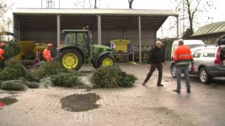 Kerstboom levert Borselse kinderen zakcentje op [upl. by Siobhan]