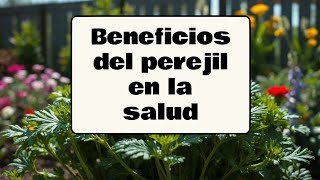 EL PODER OCULTO DEL PEREJIL  Conoce los increíbles beneficios del perejil en la salud ❤️‍🩹 [upl. by Aronle758]