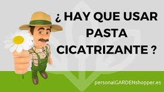 ¿HAY QUE APLICAR PASTA CICATRIZANTE EN LA PODA DE ARBUSTOS [upl. by Eizus]