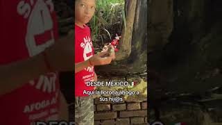 AQUI SE ENCONTRO LOS HIJOS DE LA LLORONA paranormal miedo misterio suspenso llorona aterrador [upl. by Terryl]