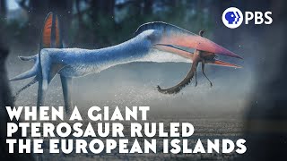 When a Giant Pterosaur Ruled the European Islands [upl. by Edaj253]