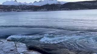 strongest water current in the world [upl. by Nosecyrb844]