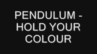 Pendulum  Hold Your Colour [upl. by Ardis623]