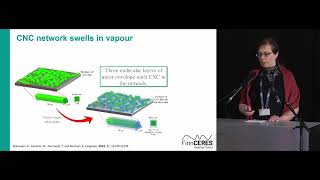 Tekla Tammelin Designing materials by exploiting water interactions [upl. by Naginnarb]