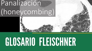 Glosario Fleischner [upl. by Mosora]