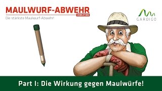 Maulwurf  Ameisen  Abwehr Vibration Teil 1 [upl. by Rector]