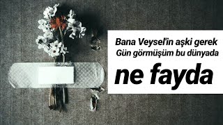 Bana Veyselin aşkı gerek  HiraiZerdüş [upl. by Chaing]