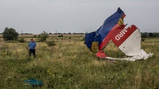 MH17 not the first passenger plane shot down [upl. by Artamas735]