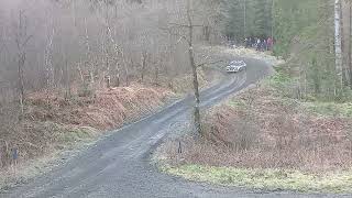 Rally North Wales  Fiat Abarth 131  Dyfnant Forest [upl. by Barra]