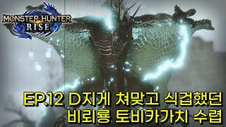 몬헌라이즈 EP12 D지게 쳐맞고 식겁했던 비뢰룡 토비카가치 수렵 [upl. by Anirahtak]