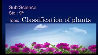 CLASSIFICATION OF PLANTS phanerogamsstd9thbyReshma Barge [upl. by Erdnoid]