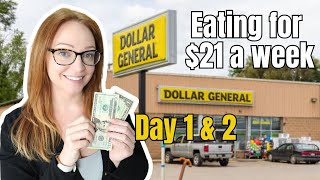 Eating for 21 a Week at Dollar General Day 1 amp 2 [upl. by Llerret]