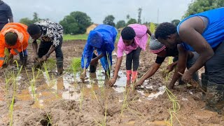 MAFS and FAO Empower Women and Youth to drive Feed Salone 36 Extension Workers trained on TpR [upl. by Ardnaz]