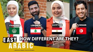 Lebanese vs Egyptian vs Tunisian vs Standard Arabic a dialect comparison  Easy Arabic 2 [upl. by Nnylaj]