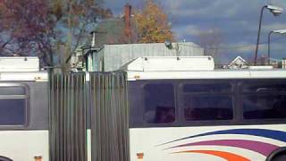 New Jersey Transit Neoplan AN459 on 159 amp Metro D on 108 [upl. by Abehshtab672]