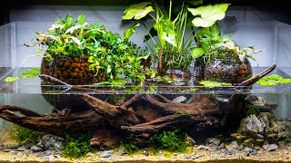 Bog Orb Riparian Planters Aquascape DIY Upflow Filtration Aquarium [upl. by Eznyl]