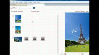 Picasa Training  Import Images into Picasa  Google Tools [upl. by Bovill483]