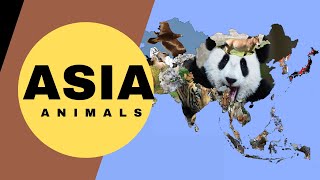 ASIAN ANIMALS  ASIAN ANIMAL LIST [upl. by Abana]