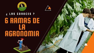 6 ramas de la Agronomía ¿ En cual te gustaría especializarte [upl. by Floyd]