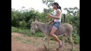 Glamorous Sonia Rides a Donkey in Hydra Island [upl. by Ahsein]