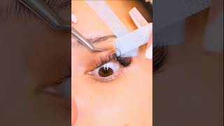 Lash extension timelashes foryou fyp eyelashextensions [upl. by Alexandre104]