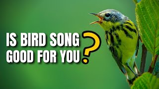 Is Bird Song Good for people  The Positive Effect of Singing Birds [upl. by Acissev270]