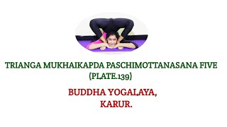 TRIANGA MUKHAIKAPDA PASCHIMOTTANASANA FIVEBKSIYENGAR YOGABUDDHA YOGALAYA KARUR YOGA TECHNIQUES [upl. by Eytteb532]