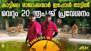 13 ഏക്കറിൽ തൃശ്ശൂരിലെ വമ്പൻ😳മൃഗശാല🦁 Kerala State Museum and Zoo Thrissur  Ramesh amp Suresh Vlogs [upl. by Yreva]