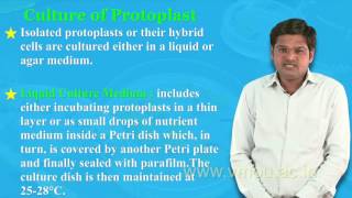 Protoplast Isolation amp Culture [upl. by Rehposirhc]