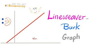 LineweaverBurk plot Enzyme Kinetics  Vmax Km amp S  Biochemistry 🧪 [upl. by Latreese832]