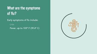 The Flu Quick Facts on Influenza  Merck Manual Consumer Version [upl. by Desirae]