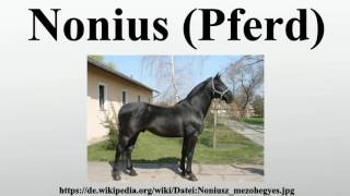 Nonius Pferd [upl. by Akinit]