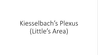 Kiesselbachs Plexus Littles Area  ENT [upl. by Maletta]