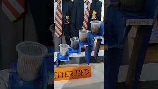 Water Filtration System project science diy [upl. by Austen]